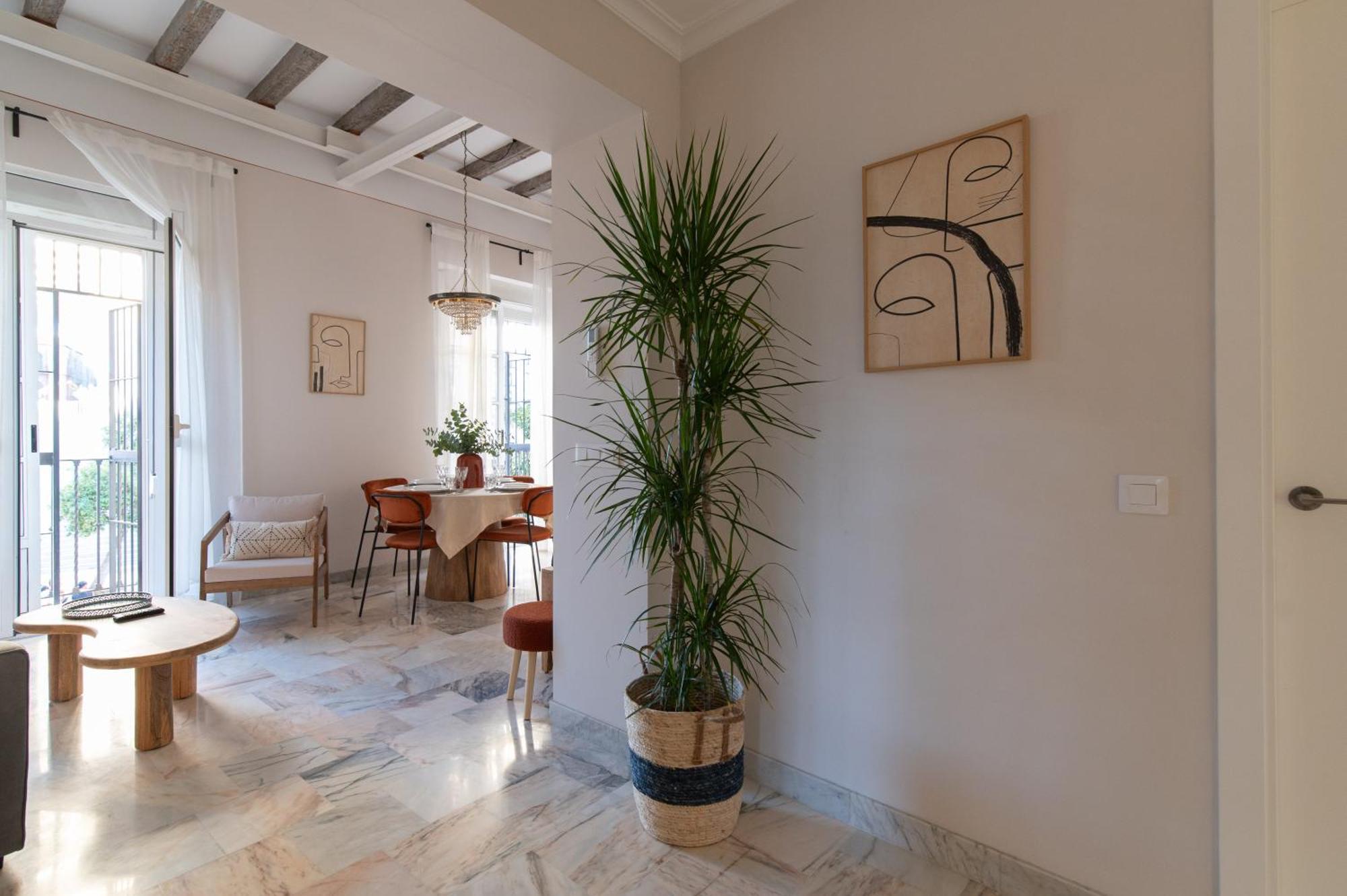 Setas Apartament *